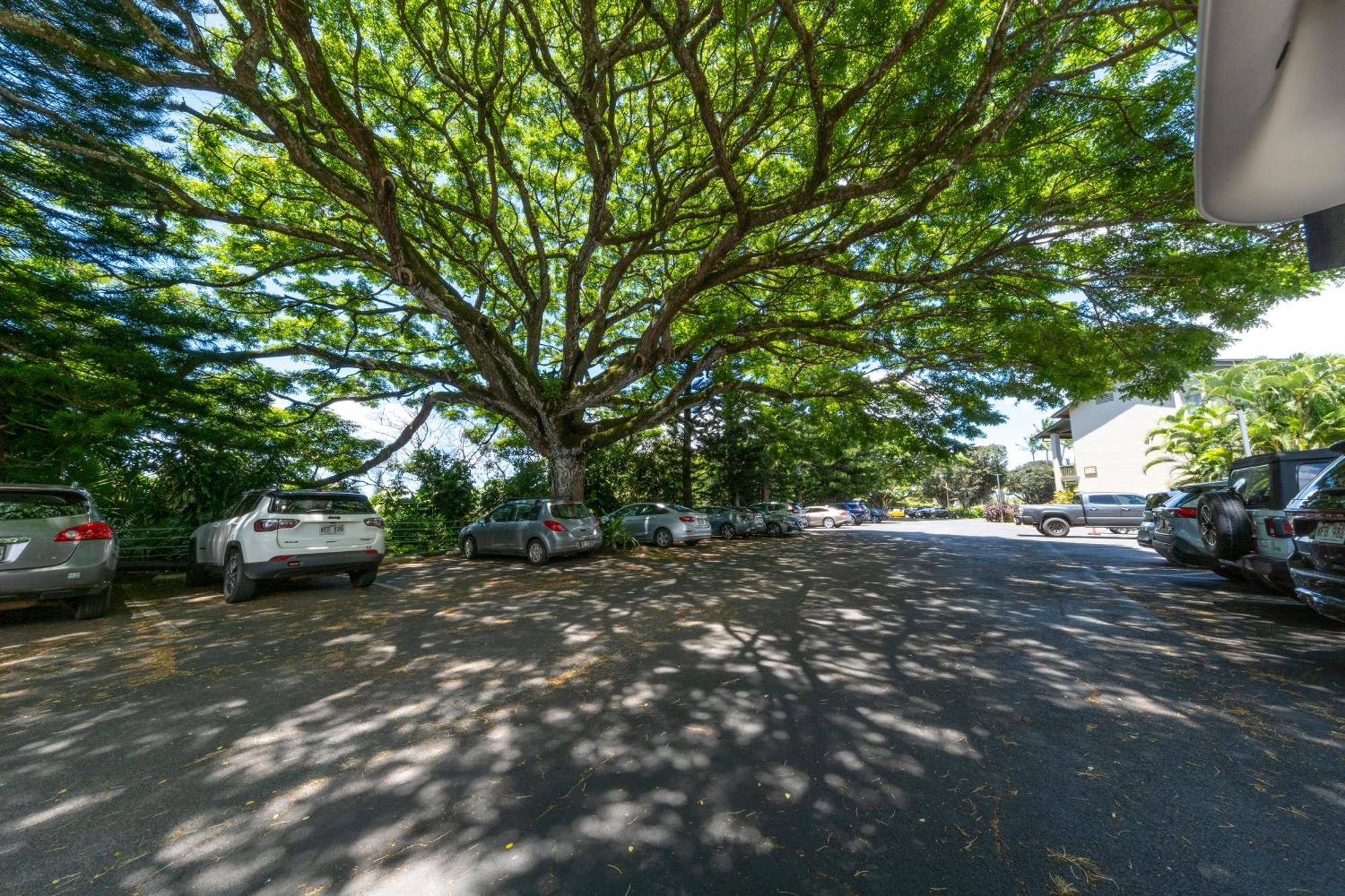 Hanalei Bay Resort Princeville Buitenkant foto